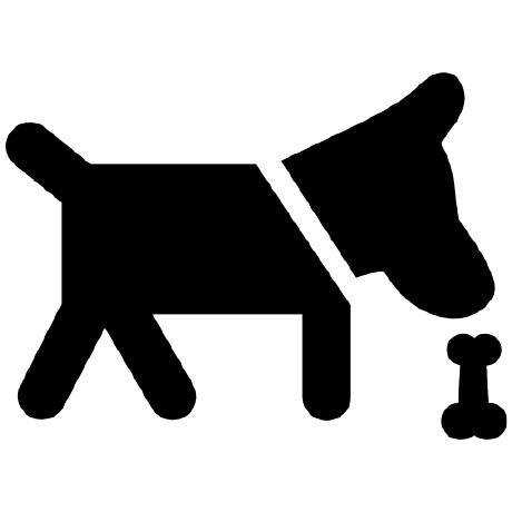 Dongxin